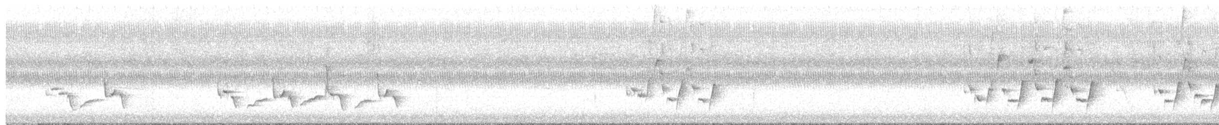 Carolina Wren - ML642107030