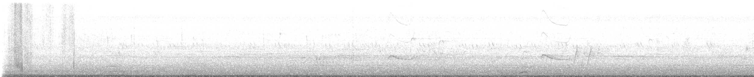 Say's Phoebe - ML642107729