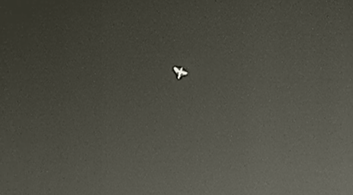 passerine sp. - ML642109336