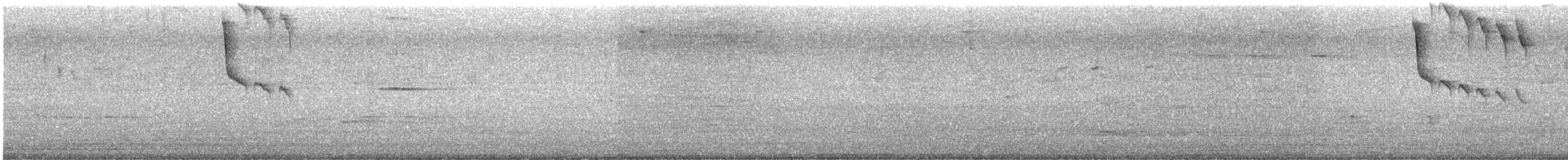 Copper-rumped Hummingbird - ML642110675