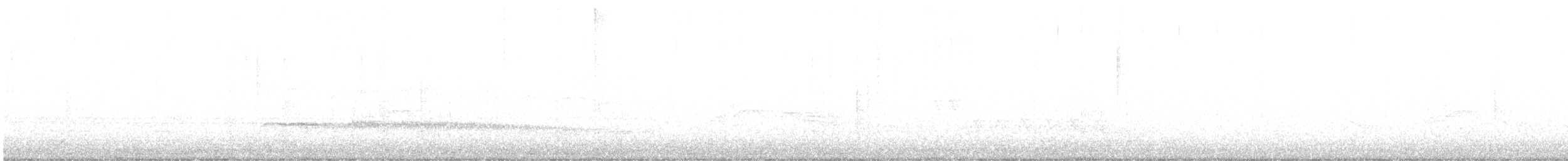 Batara moucheté - ML642111923