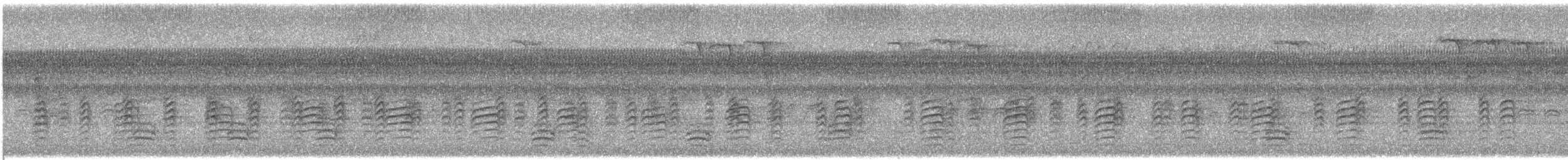 Red-breasted Nuthatch - ML642111969