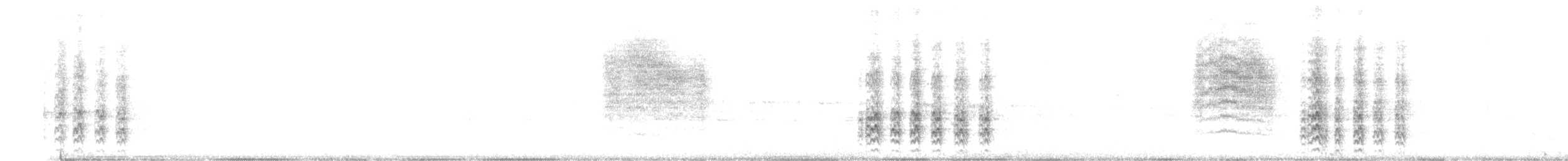Acorn Woodpecker - ML642112551