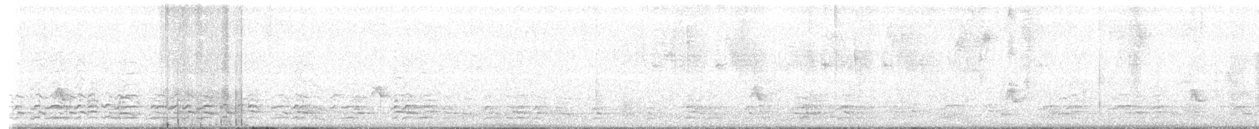 Oca canadese minore - ML642113924