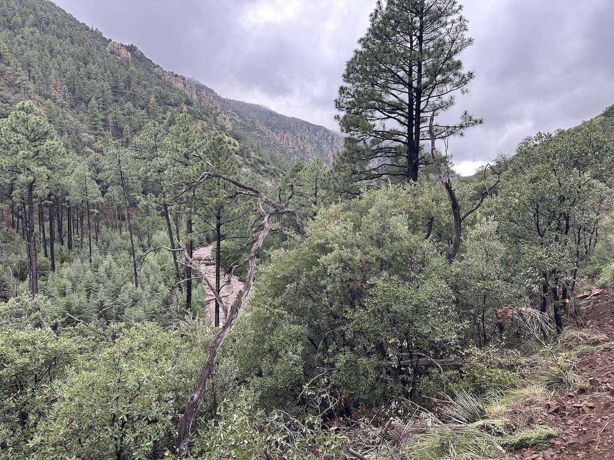 Not specified - Shawn Miller