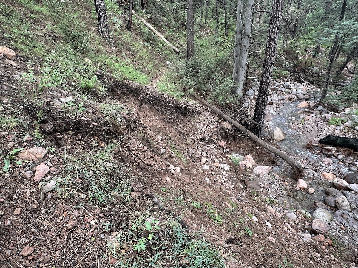 Nespecifikováno - Shawn Miller