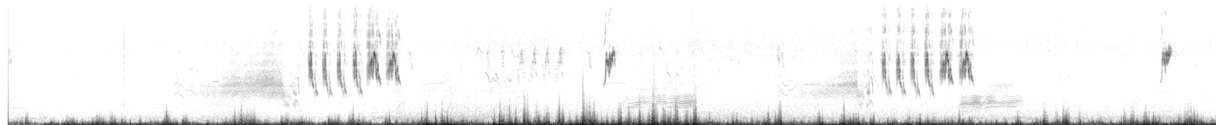 Weißbauchpieper - ML642117410