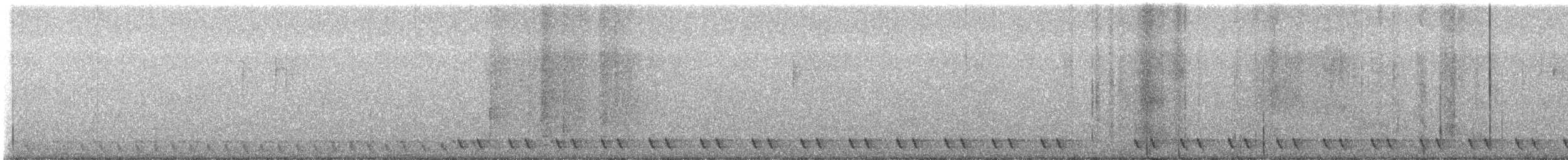 Succiacapre collorosso - ML642117415