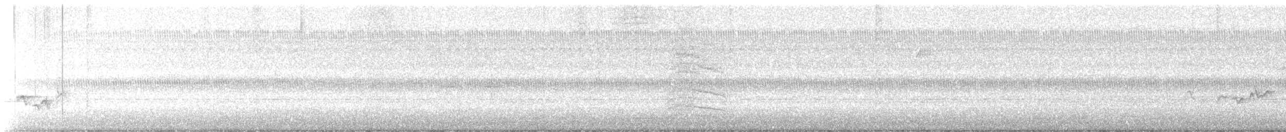 Warbling Vireo - ML642117775