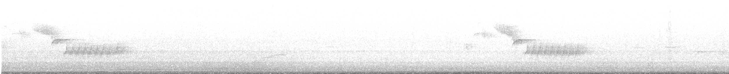 langhalesmett - ML642118408