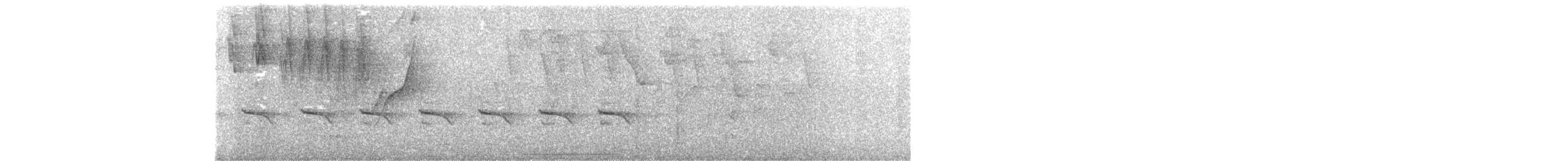 Buco Rayado (striata) - ML642119339