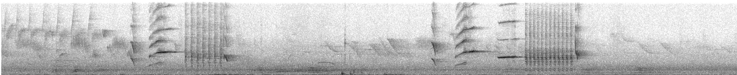 Austral Blackbird - ML642119520