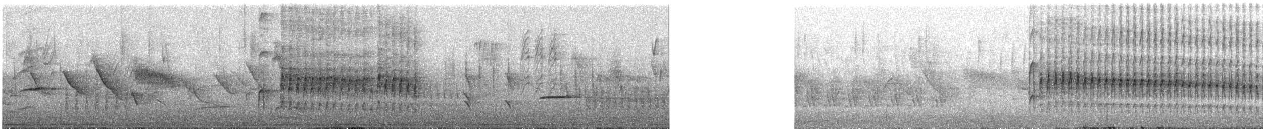 Striped Woodpecker (Striped) - ML642119767