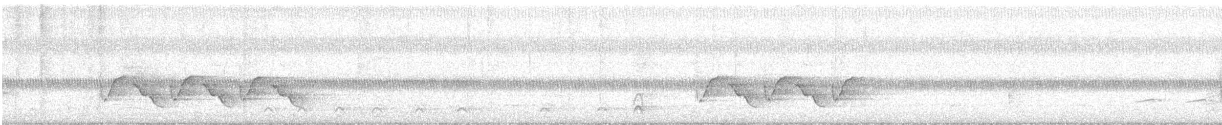 Carolina Wren - ML642119992