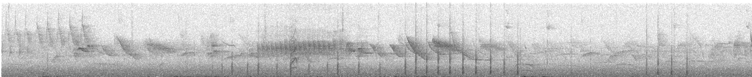 Striped Woodpecker (Striped) - ML642120030
