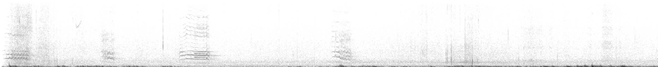 Clark's Nutcracker - ML642120322