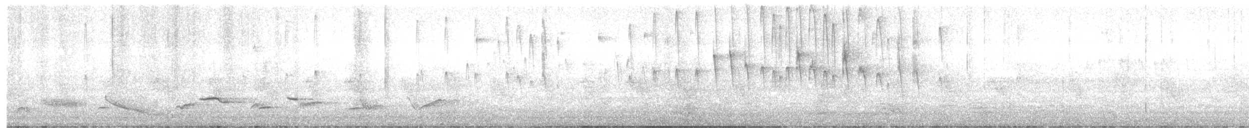 Sick's Swift - ML642122543