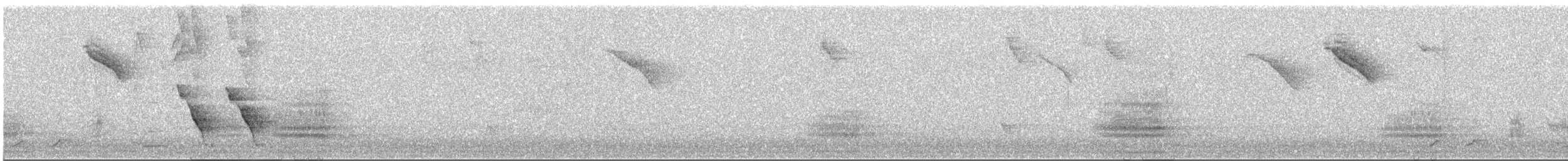 småkasik - ML642122546