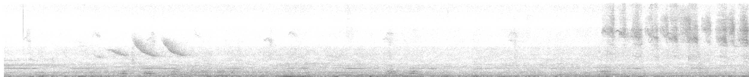 Southern House Wren - ML642123129