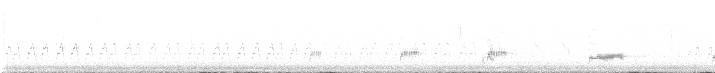 Clark's Grebe - ML642123234