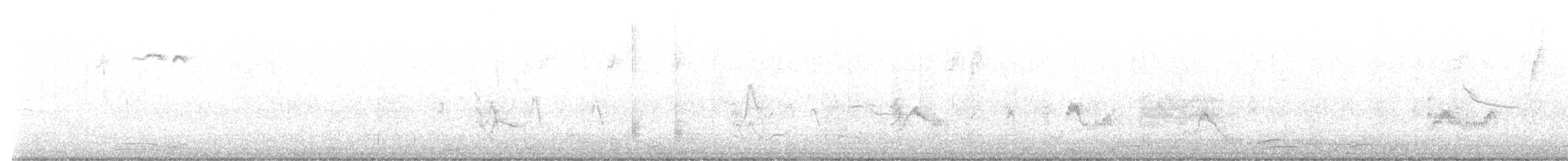 Plumbeous Vireo - ML642123352