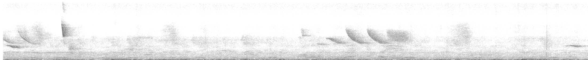 Austral Thrush - ML642123632