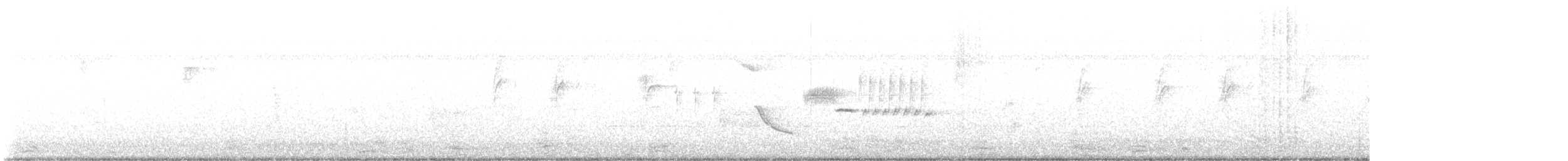 Bewick's Wren - ML642123829