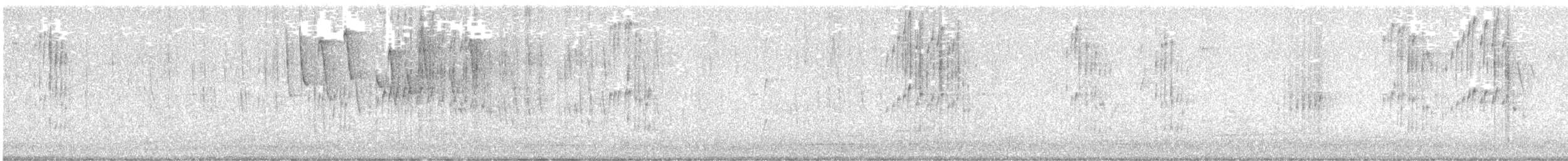 Southern Beardless-Tyrannulet - ML642123836