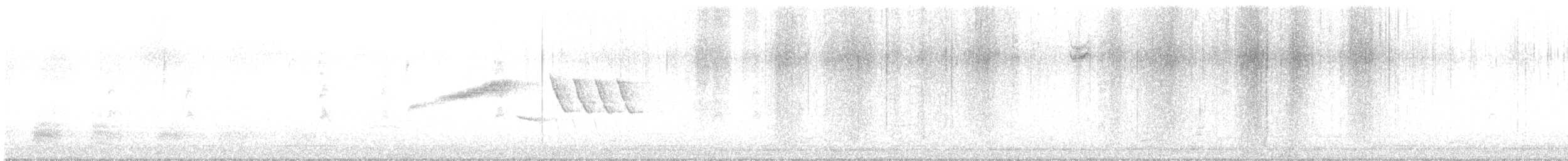 Troglodyte de Bewick - ML642124176