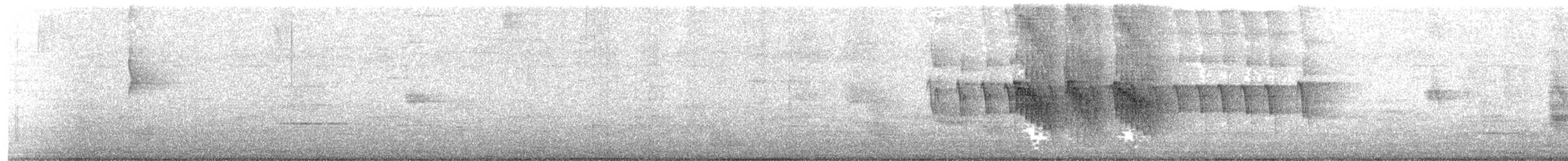 Social Flycatcher - ML642124337