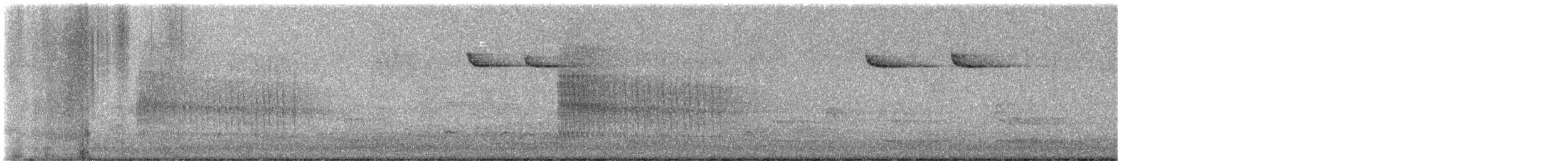 Belted Kingfisher - ML642124391