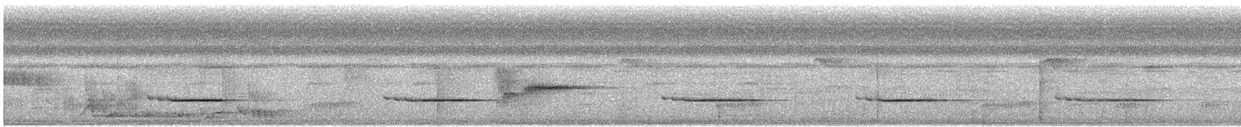 Striped Wren-Babbler - ML642126359