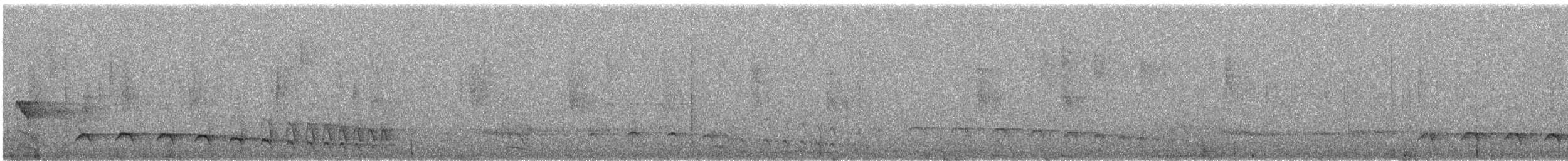 Olivgrau-Ameisenvogel - ML642126448