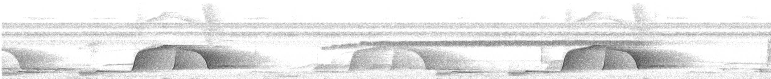 Piauhau hurleur - ML642126621