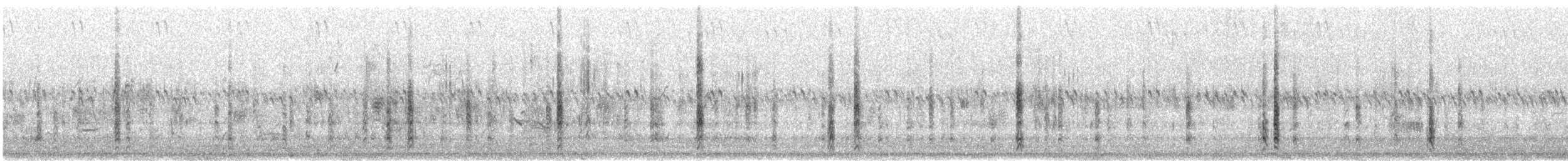 Brewer's Blackbird - ML642126663