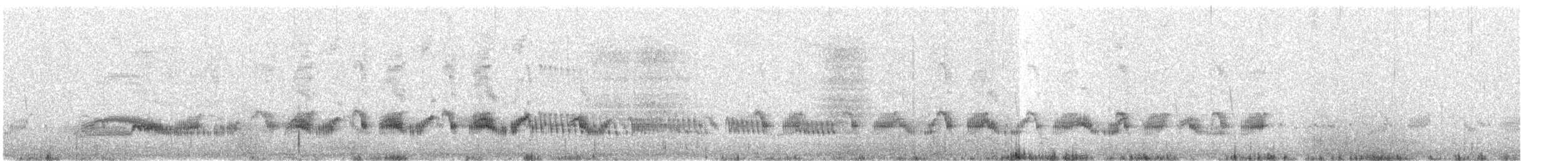 Rascón Gallineta - ML642126772