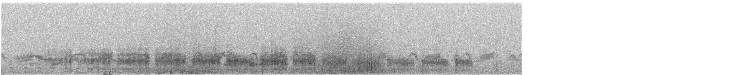 Polluela Negruzca (tuerosi) - ML642126817