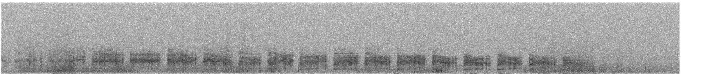 Polluela Negruzca (tuerosi) - ML642126818