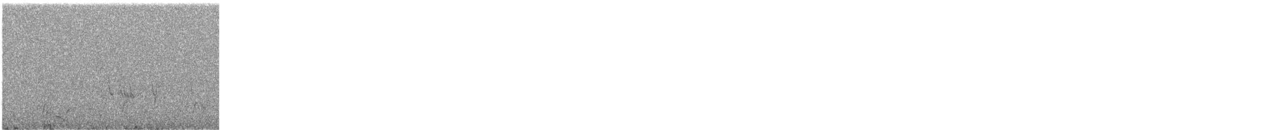 Puna Pipit - ML642126832