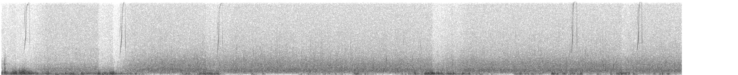 Black-breasted Hillstar - ML642127083