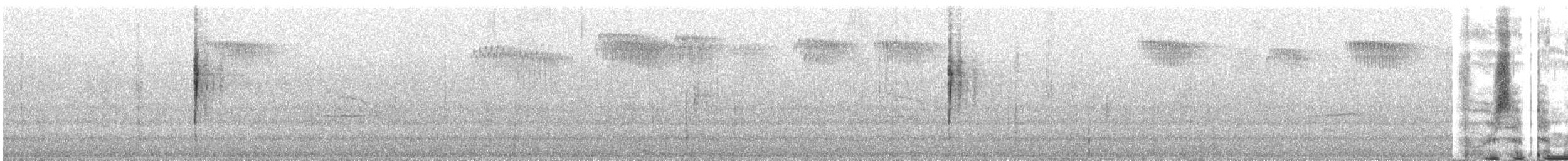 Mourning Warbler - ML642127175