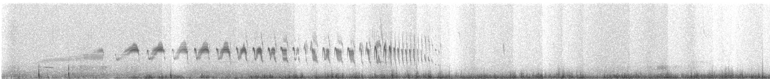 Braunschwanzcanastero - ML642127182