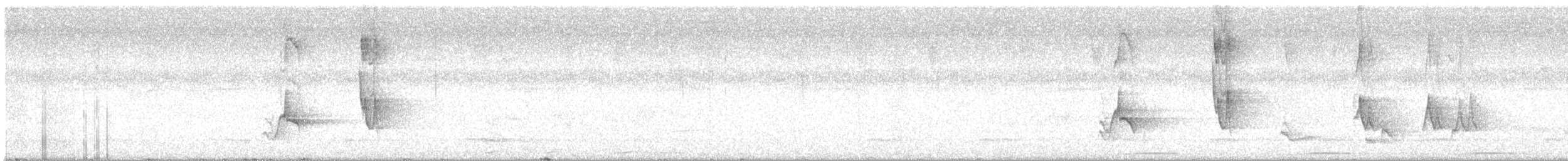 Serra do Mar Tyrant-Manakin - ML642127351