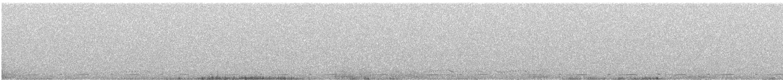 Graubrust-Höhenläufer - ML642127616