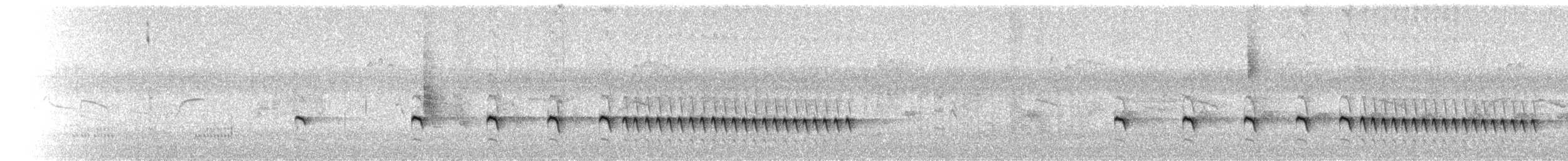 Wrentit - ML642127910