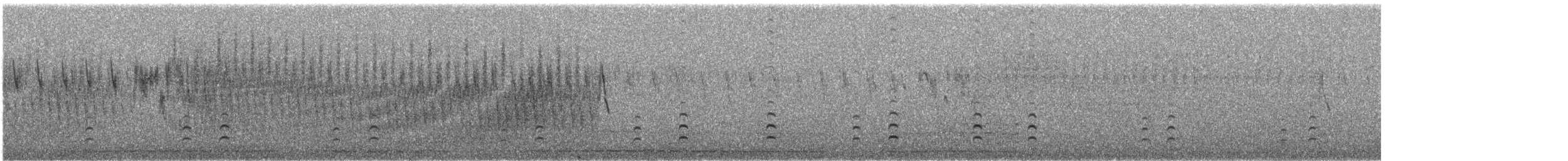 Oedicnème du Pérou - ML642128005