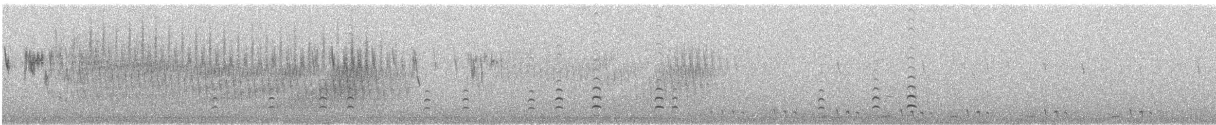 Oedicnème du Pérou - ML642128006