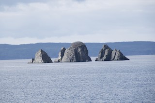 Trinity Bay--Green's Harbour Point, Avalon Peninsula-St. John's ...