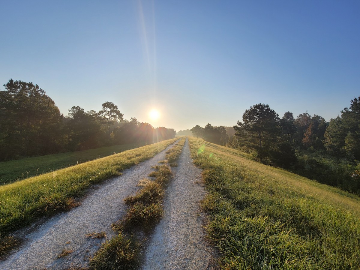 Nespecifikováno - Maxfield Weakley