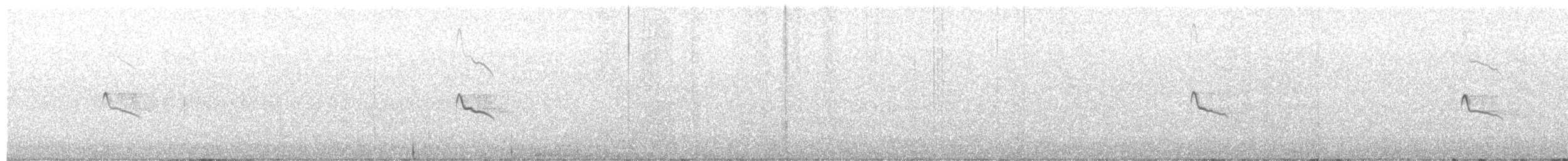 Black Phoebe - ML642130635
